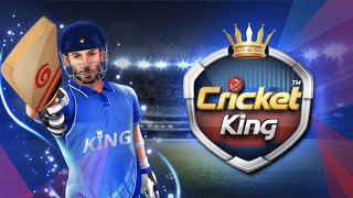 Cricket King screenshot 5