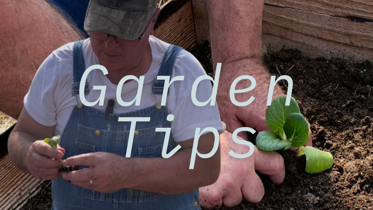 Tips You Need to Know Before Planting Your Spring Garden Bed - YouTube