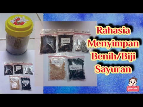 Video: Penyimpanan Benih: Cara Menyimpan Benih