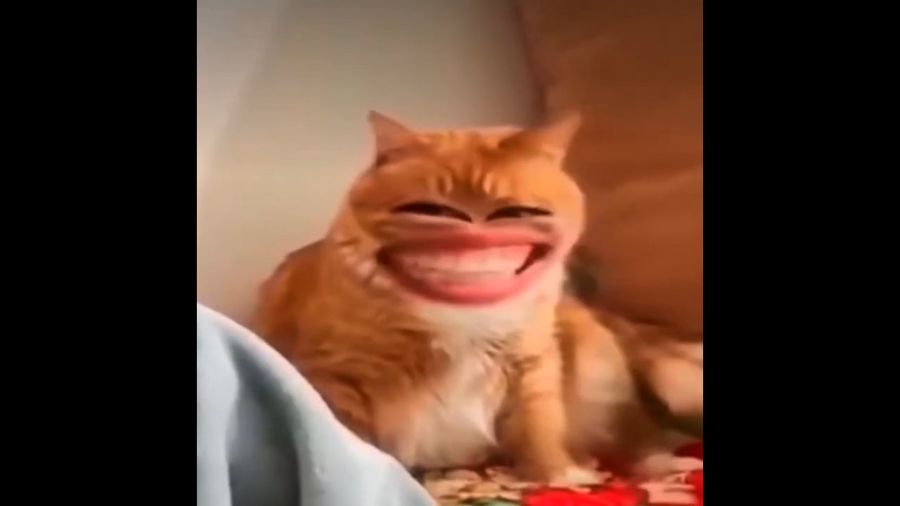 Издеваюсь над новичками🤣 