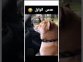 عدس الوابل