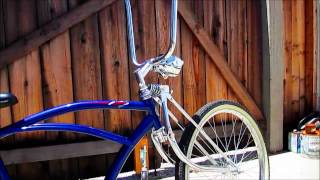 Schwinn Delmar