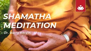 SHAMATHA (SINGLEPOINTED) MEDITATION with Dr. Barry Kerzin