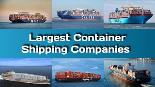 Largest Container Shipping Companies in the World | Biggest Shipping Companies