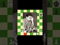 Mikhail Tal Brilliancy #chess #brilliantmove #edit