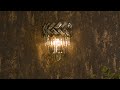 VORELLI® Crystal Wall Lights: Luxury Wall Sconces for High-End Interiors