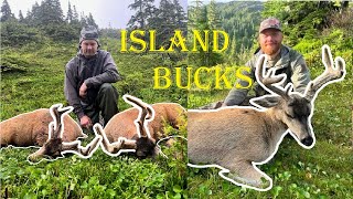 Sitka Blacktail Hunting on Prince of Wales Island, Alaska by SCliving Outdoors 3,569 views 7 months ago 24 minutes