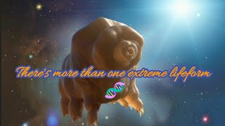 Survivors of the Extreme: Earth's Toughest Life
