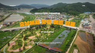 백세건강공원 영상