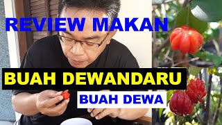 Makan Buah Dewandaru | Buah Dewa | Banyak Mistisnya