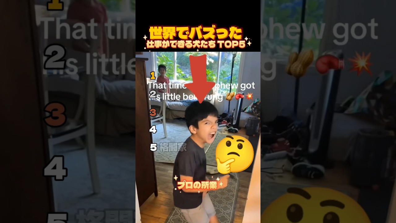 ​【爆笑】世界一仕事ができるおもしろ犬TOP5 #shorts