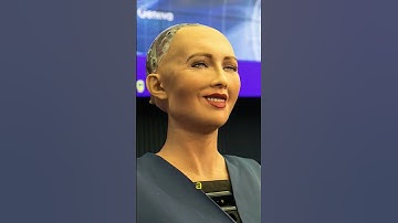 Why Fursuits LOOK SO CARTOONY #fursuit #furries #fursona