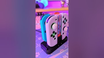 nintendo switch controller charger