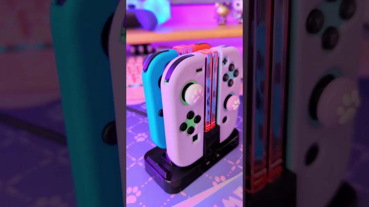nintendo switch controller charger
