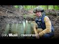 British artillery versus Russian infantry: Ukrainian forest | Crossfire