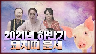 (용한점집)(띠별운세) 2021년 하반기 돼지띠 운세!! [점점tv정주행]