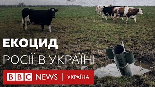 Як війна Росії знищує природу в Україні