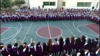 دبكة ورقص بنات مدرسة فلسطينية Best Dance