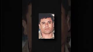 Cartel Exposed Pt.1 | Chainsaw Kill