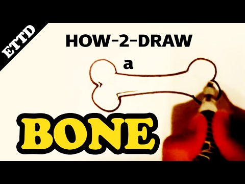 How To Draw A Bone Easy Things To Draw