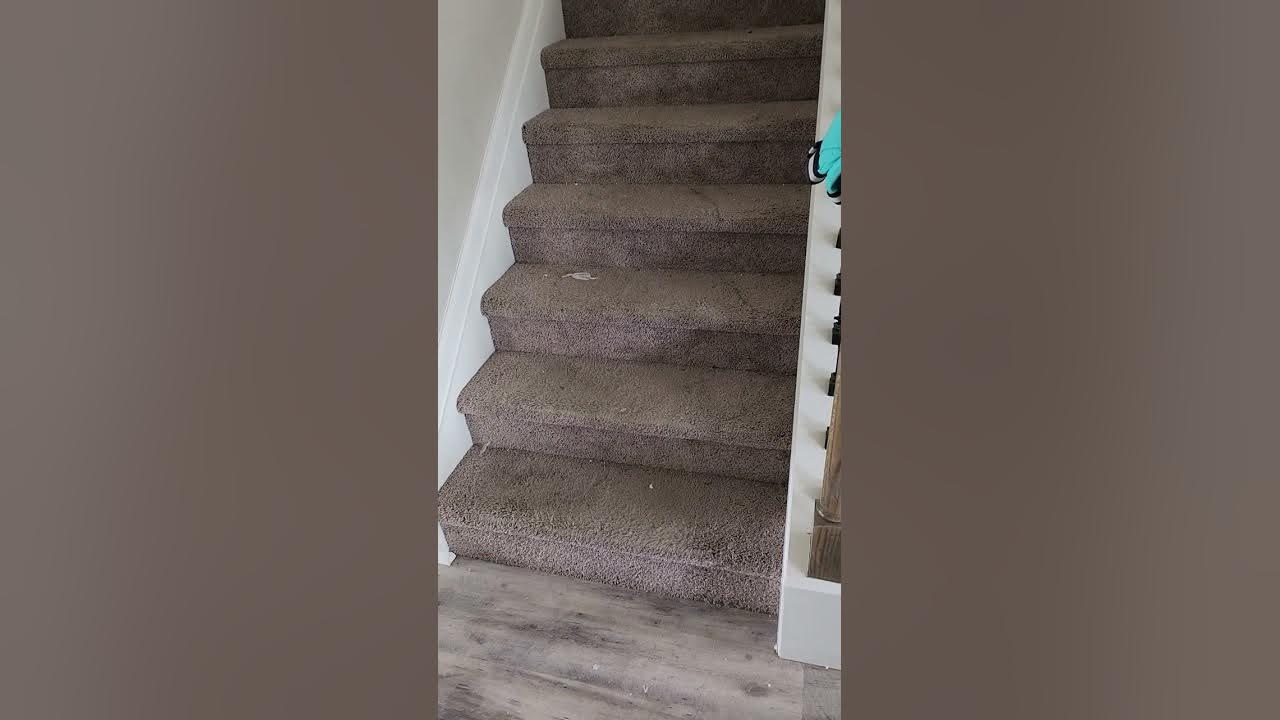 professional carpet cleaning Conyers GA YouTube