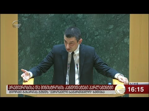 გახარია: ტყუილია, რომ გავრილოვი საქართველოს წინააღმდეგ იბრძოდა