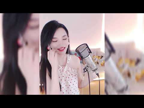 不该用情-林阿兔
