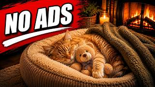 Music For Cats 😺 Calm Stress, Reduce Anxiety & Sleep Peacefully
