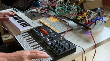 Rhythm & horns - Eurorack, Enso, Zeenon, Less Concepts, Microfreak