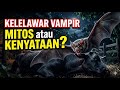 Kelelawar Vampir – Mitos atau Kenyataan?