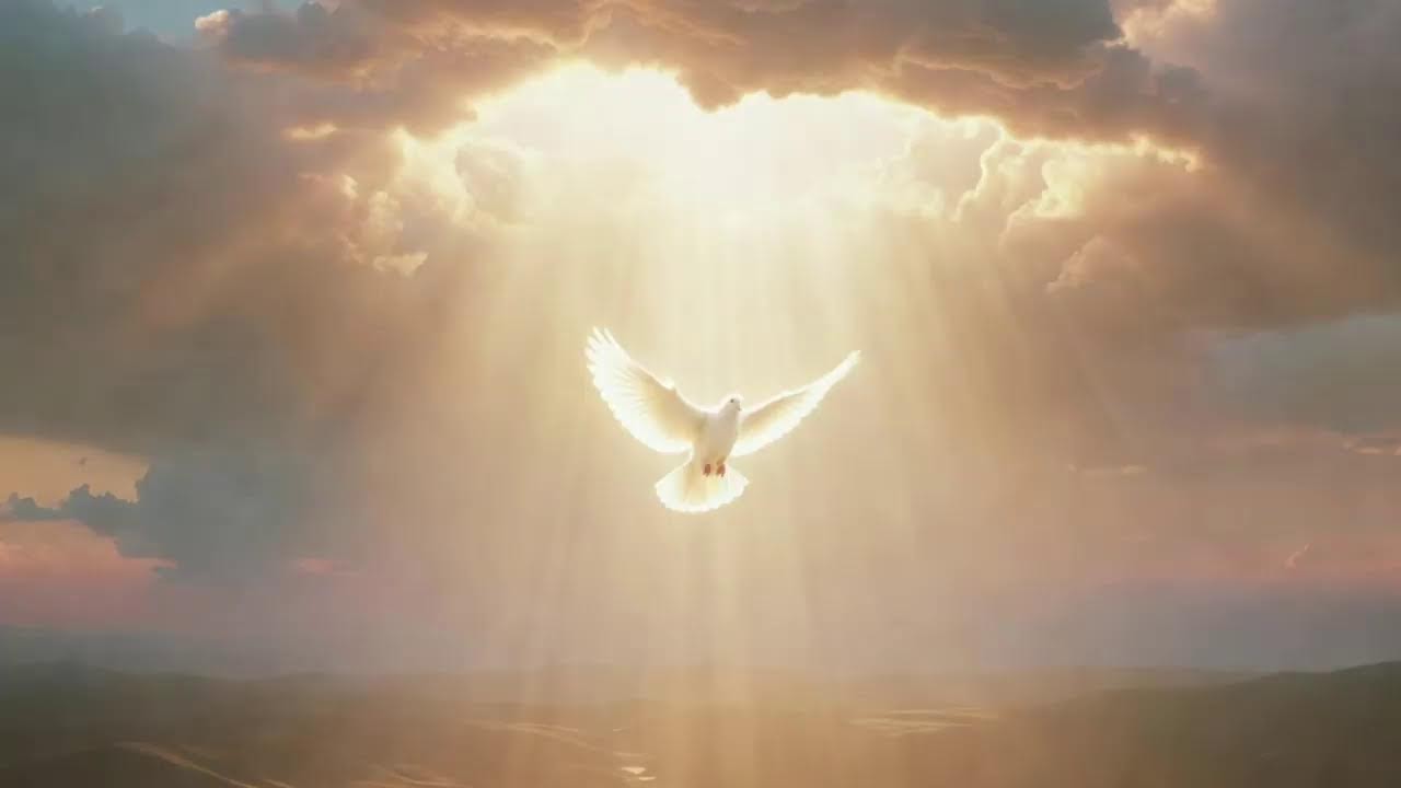 Stream uživo korisnika Sacred Rosary