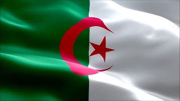 MFP Algeria Flag 3 Hrs Long