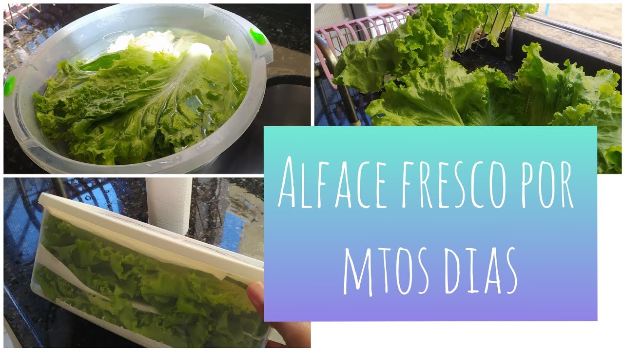 Como conservar o alface por mais tempo - YouTube