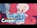 | Small Spooks/ Boo Bop | Casper Full Episode | Videos For Kids
