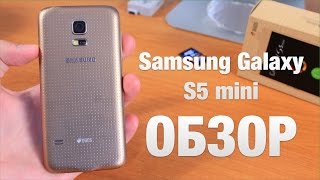 картинка: Samsung Galaxy S5 mini Обзор