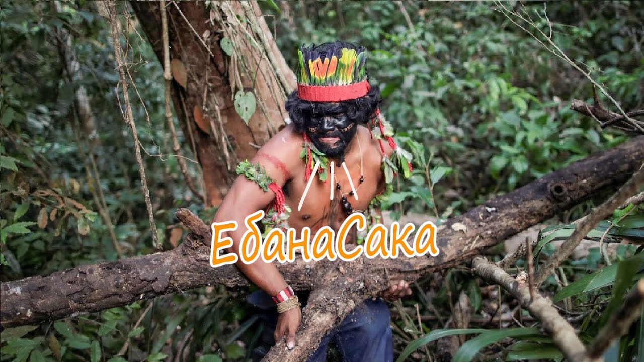 Амазонка в лесу Амазонка в лесу