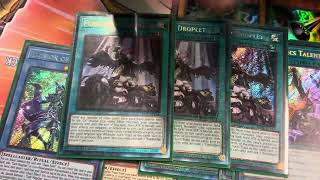 Chaos bystial danger thunder dragon deck profile for the new format! 60 cards! 3rd place locals!