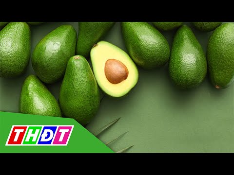 Video Quả bơ Việt Nam xây dựng thương hiệu tại Australia |... - youtube