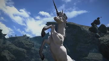 Final Fantasy XIV - Unicorn Power