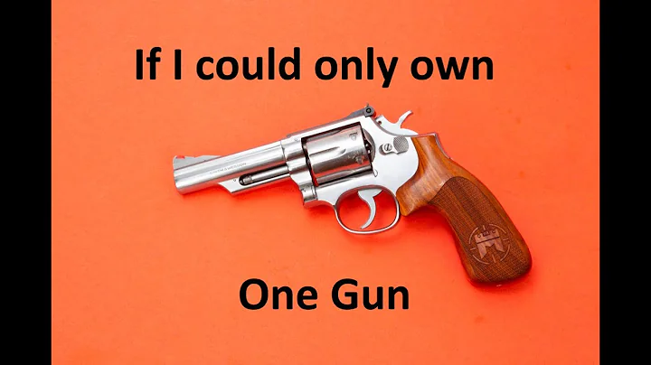 If I could only own one gun