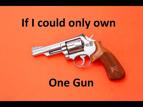 If I could only own one gun @duelist1954