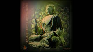 Brandon de  Peace Of Mind keep Talking extended Mix