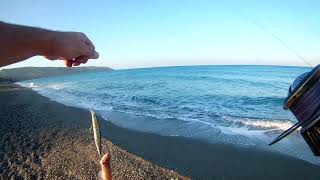 Ψάρεμα Spinning.In Crete Σκαρμός,Sandfish{Synodus saurus}.