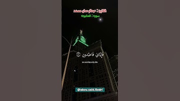 ما تيسر من سورة العنكبوت ، القارئ عبد الرحمان مسعد ، تلاوة مريحة للقلب