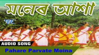 Assamese audio song, hope you like this song. please subscribe, and
comments about song- pahare parvate moina album - maner aasha singer
ch...