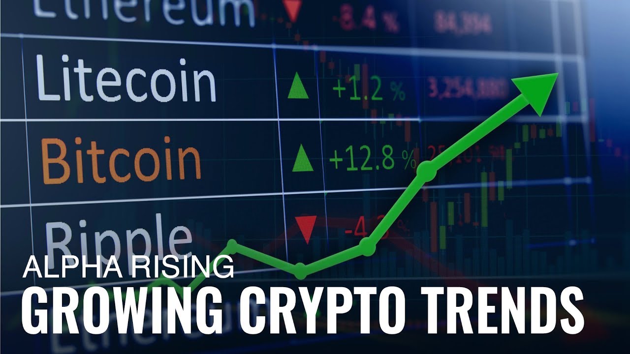 CoinShares CSO on Cryptos and How Women Are Leading the Way