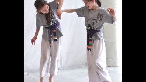 Introduction to Aikido of Gainesville