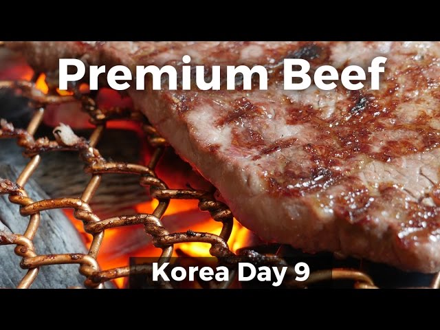 Korean Food - Premium Korean JANGSU BEEF! (Day 9) | Mark Wiens