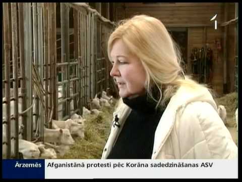 Video: Vai Visi Vīrieši Ir Kazas? Kā Atbrīvoties No Viltus Instalēšanas?