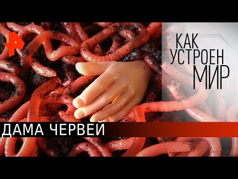 Дама червей. «Как устроен мир" с Тимофеем Баженовым (22.06.20).